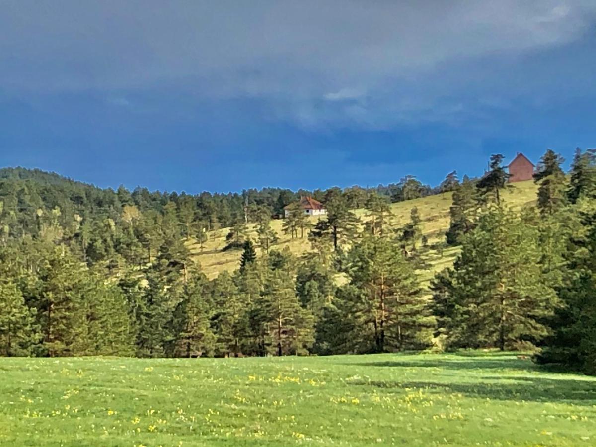 Vikendica Stojanovic Villa Mionica ภายนอก รูปภาพ