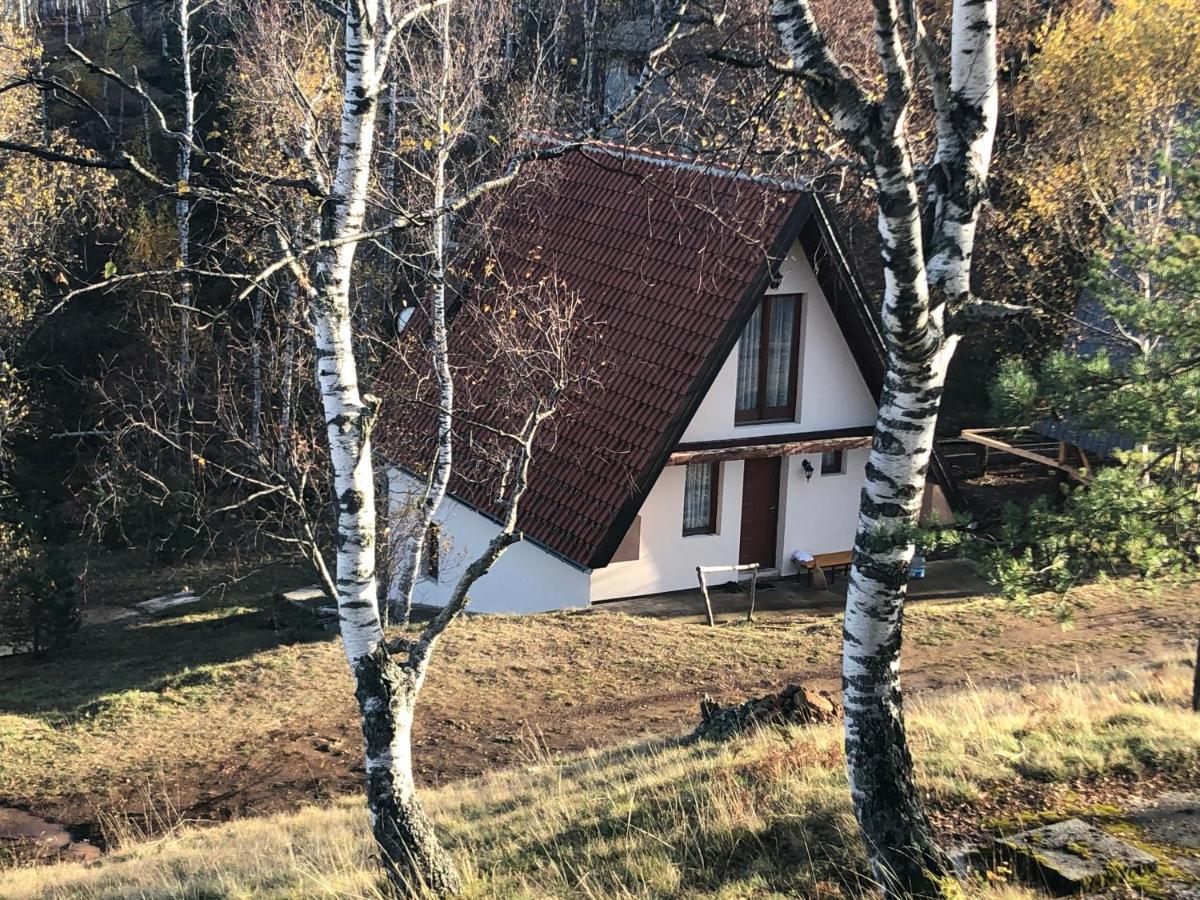 Vikendica Stojanovic Villa Mionica ภายนอก รูปภาพ