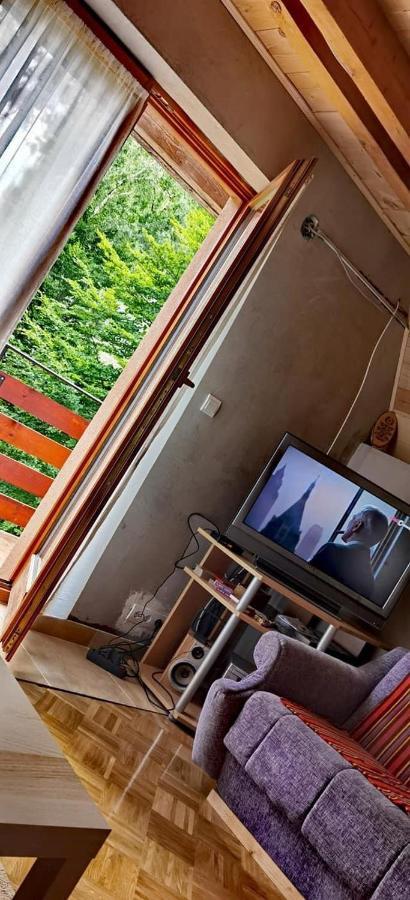 Vikendica Stojanovic Villa Mionica ภายนอก รูปภาพ