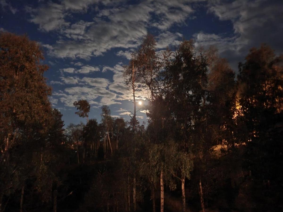 Vikendica Stojanovic Villa Mionica ภายนอก รูปภาพ