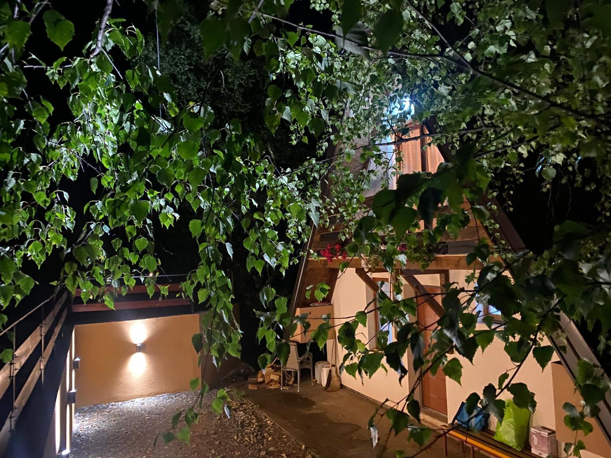 Vikendica Stojanovic Villa Mionica ภายนอก รูปภาพ